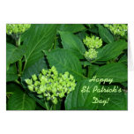 ¡Follaje verde feliz del día de St Patrick! Tarjeta