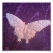 fondo blanco de la púrpura de la mariposa fotografia