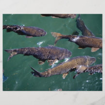 Fondo de los pescados tarjeta publicitaria
