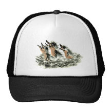 ¡Foood Foooodd!!!! Gorras