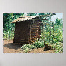 Forma de vida poster