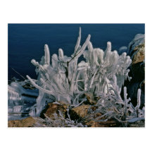 Formación de hielo postal
