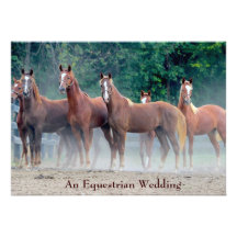 Formal un amor ecuestre del caballo de la invitaci