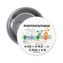 Fórmula de la fotosíntesis (sustancia química) pin