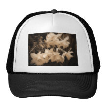 Fortune nombrada narciso gorros  