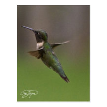 Forzen en vuelo tarjeta postal