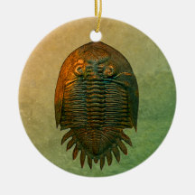 Fósil Trilobite de Neometacanthus Ornamentos De Navidad