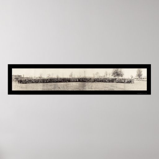 Foto 1918 de Greenleaf del campo del ejército del  Poster