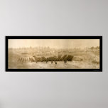 Foto 1918 de Sevier del campo de la formación Posters