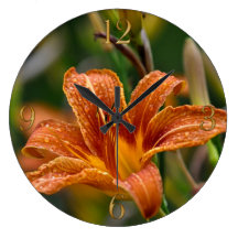 Foto anaranjada del Daylily y de la flor de las go Reloj De Pared