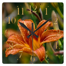 Foto anaranjada del Daylily y de la flor de las go Relojes De Pared