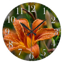 Foto anaranjada del Daylily y de la flor de las go Relojes