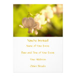 Foto blanca de los corazones sangrantes invitacion personalizada