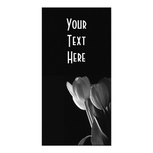 Foto blanca de los tulipanes en fondo negro tarjetas con fotos personalizadas