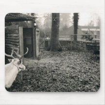 Foto blanco y negro del reno y del trineo tapete de ratones