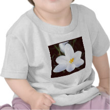 Foto cuadrada - azafrán blanca camisetas