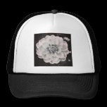 Foto cuadrada - crisantemo gorras