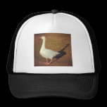 Foto cuadrada - ganso gorras