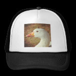 Foto cuadrada - ganso (primer) gorras