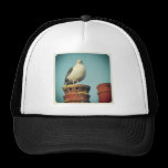 Foto cuadrada - perca preferida gorras