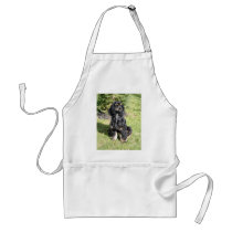 Foto de cocker spaniel delantales