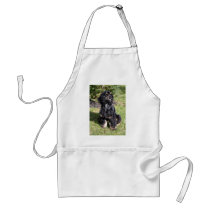 Foto de cocker spaniel delantales