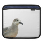 Foto de la esquina izquierda de la gaviota funda para iPads