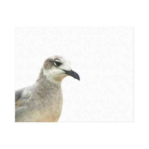 Foto de la esquina izquierda de la gaviota impresion de lienzo