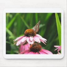 Foto de la flor y de la mariposa alfombrillas de raton