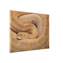 Foto de la serpiente de cascabel impresión de lienzo