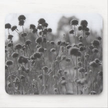 Foto de las flores blancos y negros de la película tapete de raton
