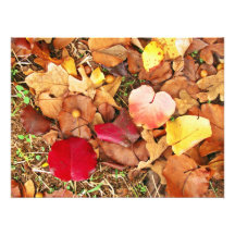 Foto de las hojas de otoño