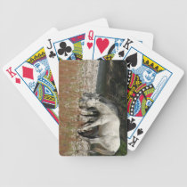Foto de los mejores amigos de Ana Finster cartas de juego