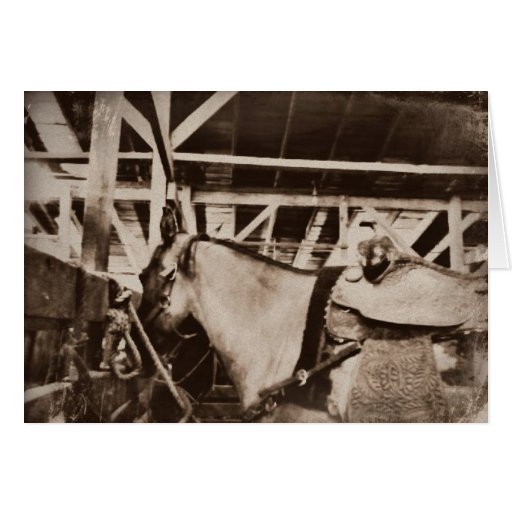 Foto de mirada antigua del caballo tarjeton