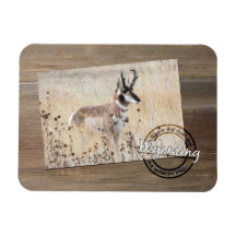 Foto del antílope de Pronghorn en la madera - Wyom Imanes Rectangulares
