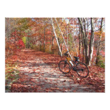 Foto del ~ del paseo de la bici del otoño