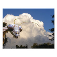 Foto del ~ del predicador y de la nube