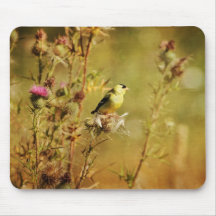 Foto del Goldfinch Tapete De Raton