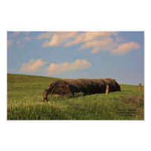 Foto del Haystack del país