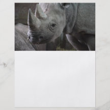 Foto del rinoceronte negro flyer personalizado