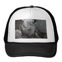 Foto del rinoceronte negro gorra