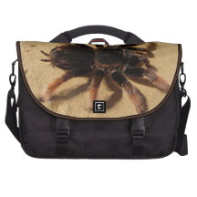 Foto del Tarantula
