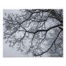 Foto escarchada de las ramas de árbol