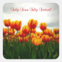 Foto floral hermosa - floraciones del tulipán pegatina cuadradas personalizadas