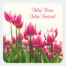 Foto floral rosada hermosa - floraciones del tulip colcomania cuadrada