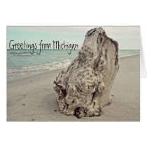 Foto hermosa del Driftwood de los saludos del lago tarjetas