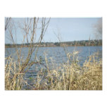 Foto interesante del lago