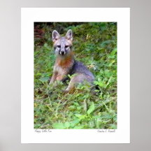 Foto original del "pequeño Fox feliz" por S.L Russ Poster
