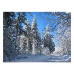 Foto pegajosa del ~ de la nieve 32
