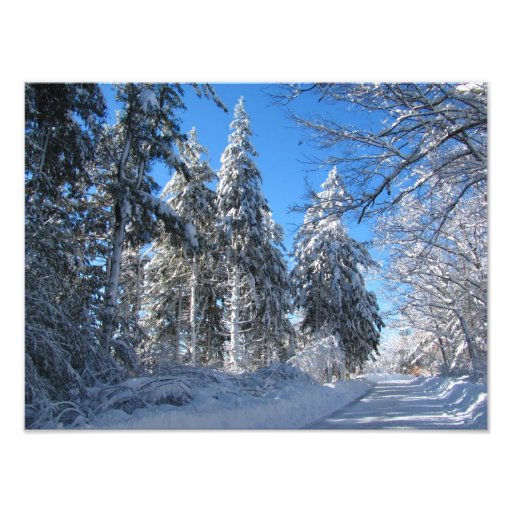 Foto pegajosa del ~ de la nieve 32